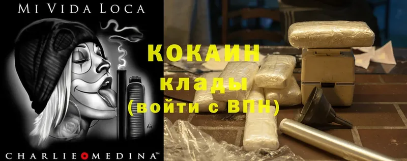 дарнет шоп  Норильск  COCAIN Fish Scale 